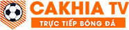 cặp da nam